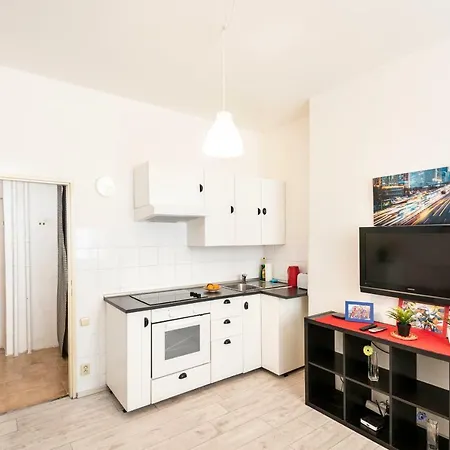 Na Zborenci Design Apartment *